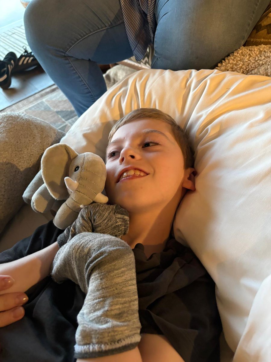 Rays of Sunshine tweet media