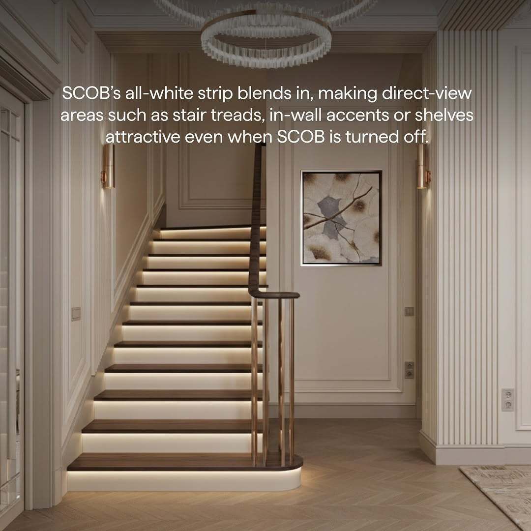 Light Resource tweet media