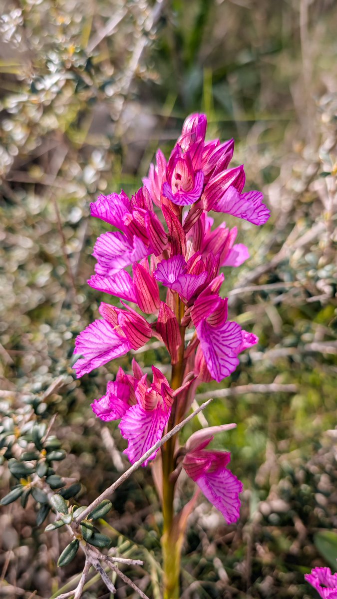 Jose David tweet media