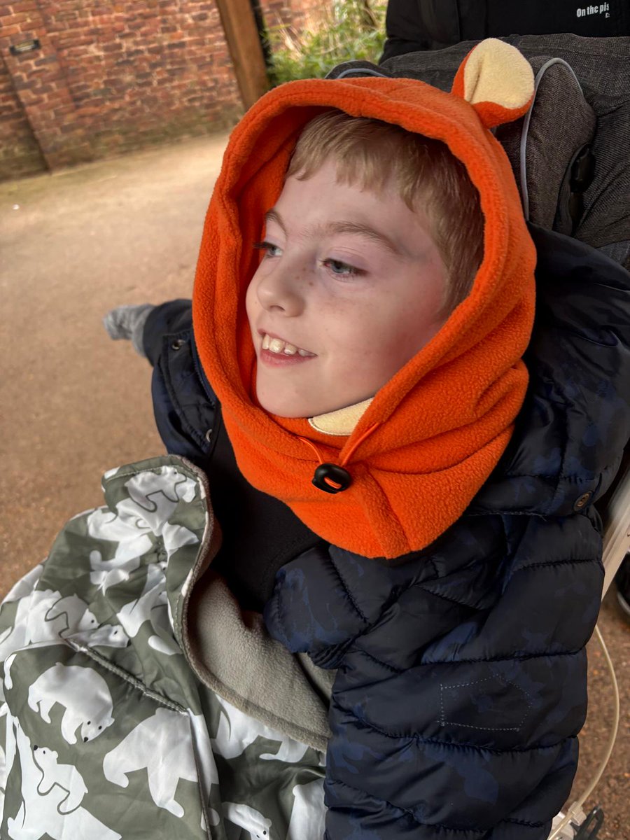 Rays of Sunshine tweet media