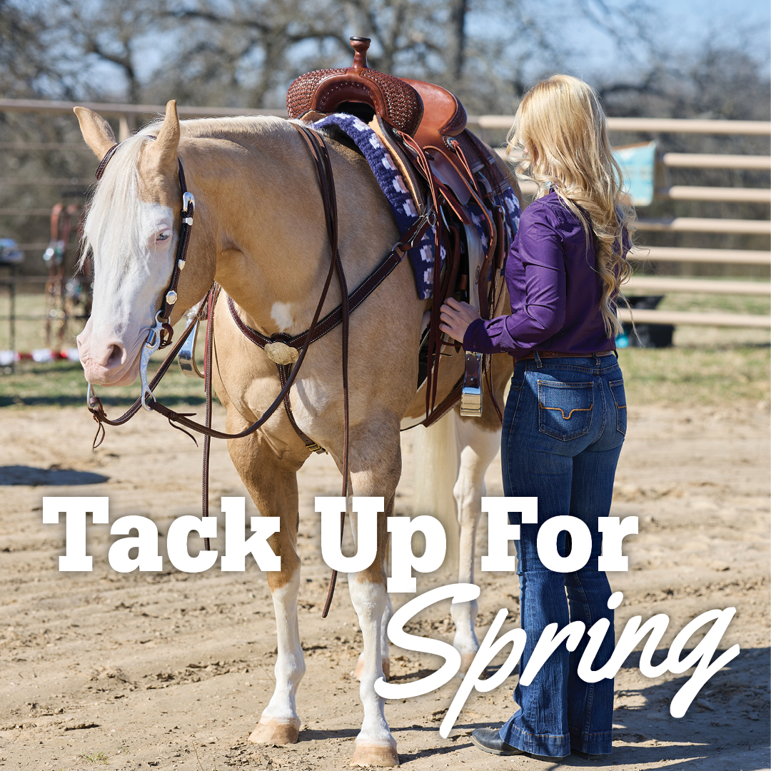 NRSworld tweet media