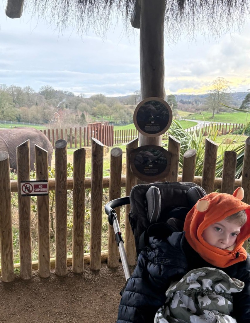 Rays of Sunshine tweet media