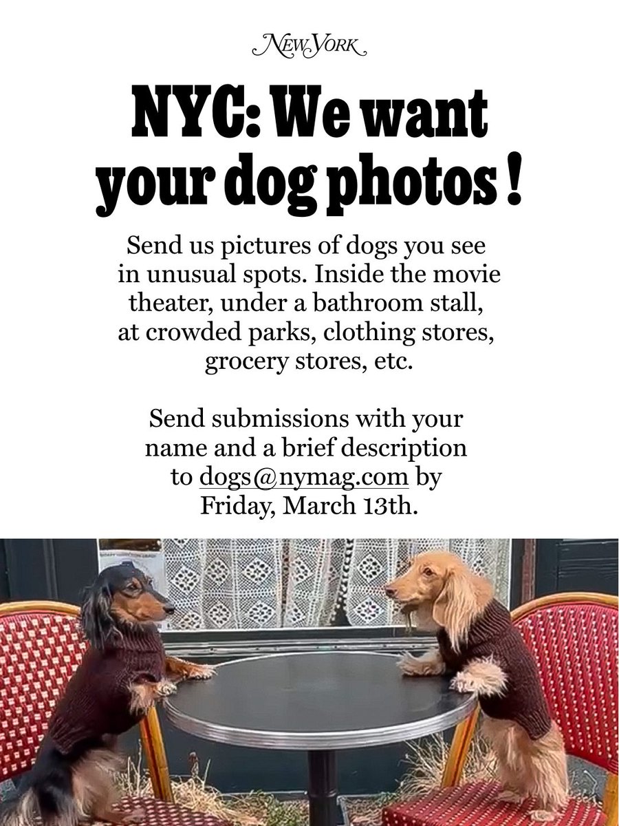 New York Magazine tweet media