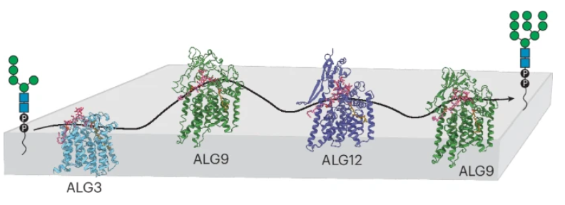 Nature Chemical Biology tweet media