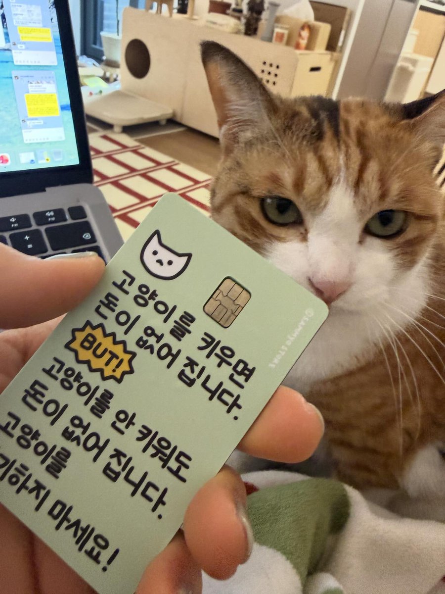 내 취향 사진들 tweet media