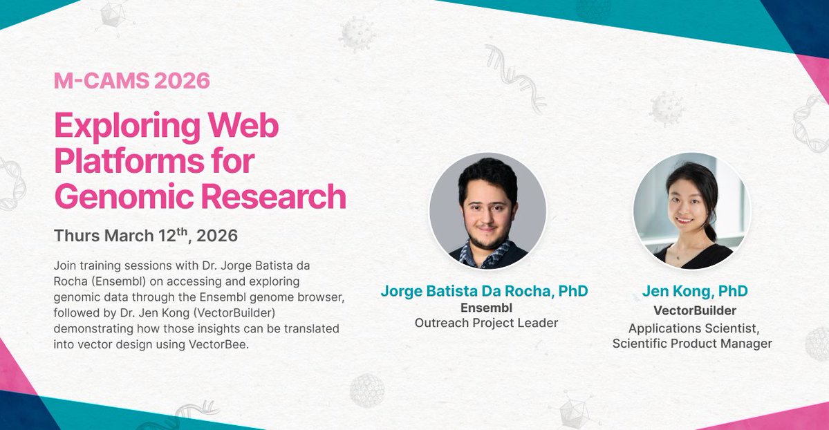 VectorBuilder tweet media