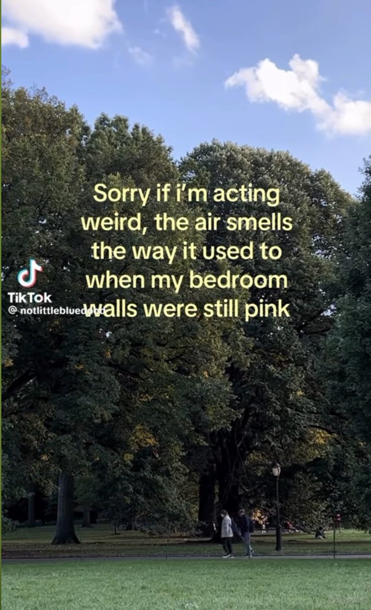 cosmicbunny tweet media