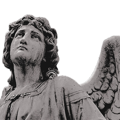 ‍ ‍‍ ‍𝖒 . tweet media