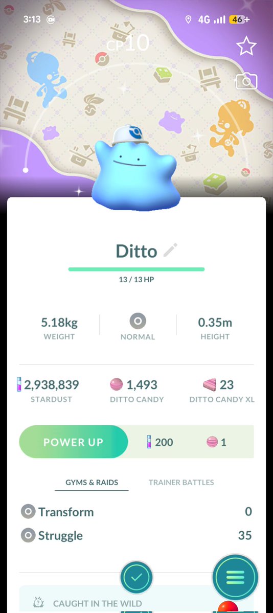 Icewolf Plays tweet media