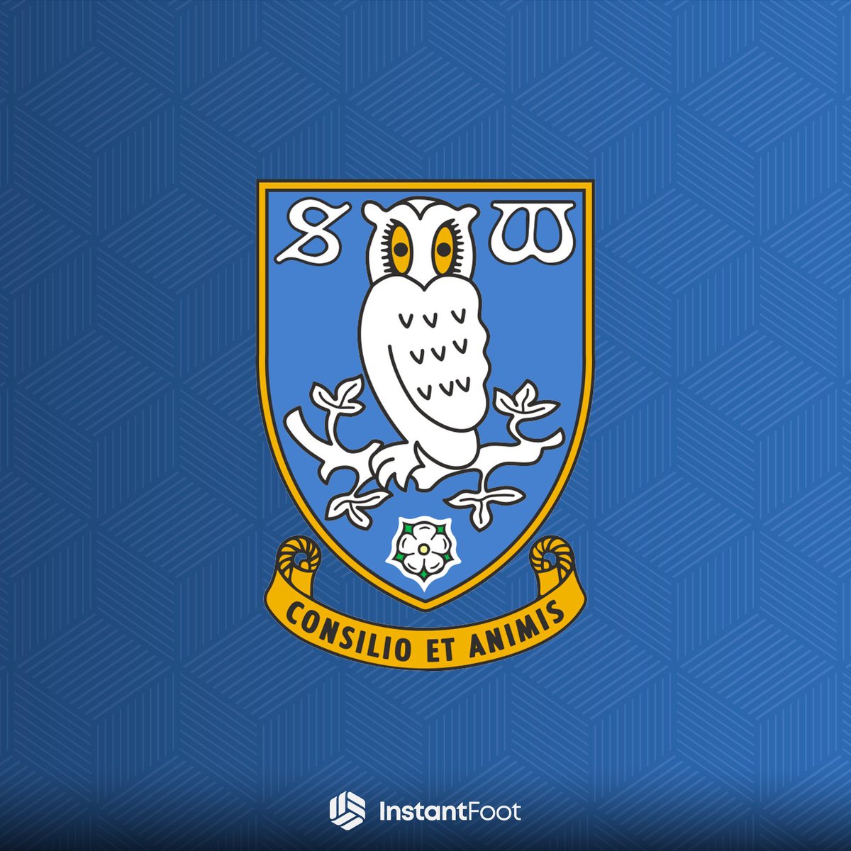 Instant Foot ⚽️ tweet media