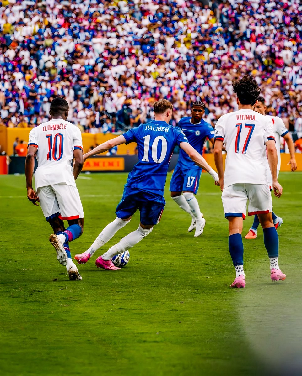 Always Cold Palmer tweet media