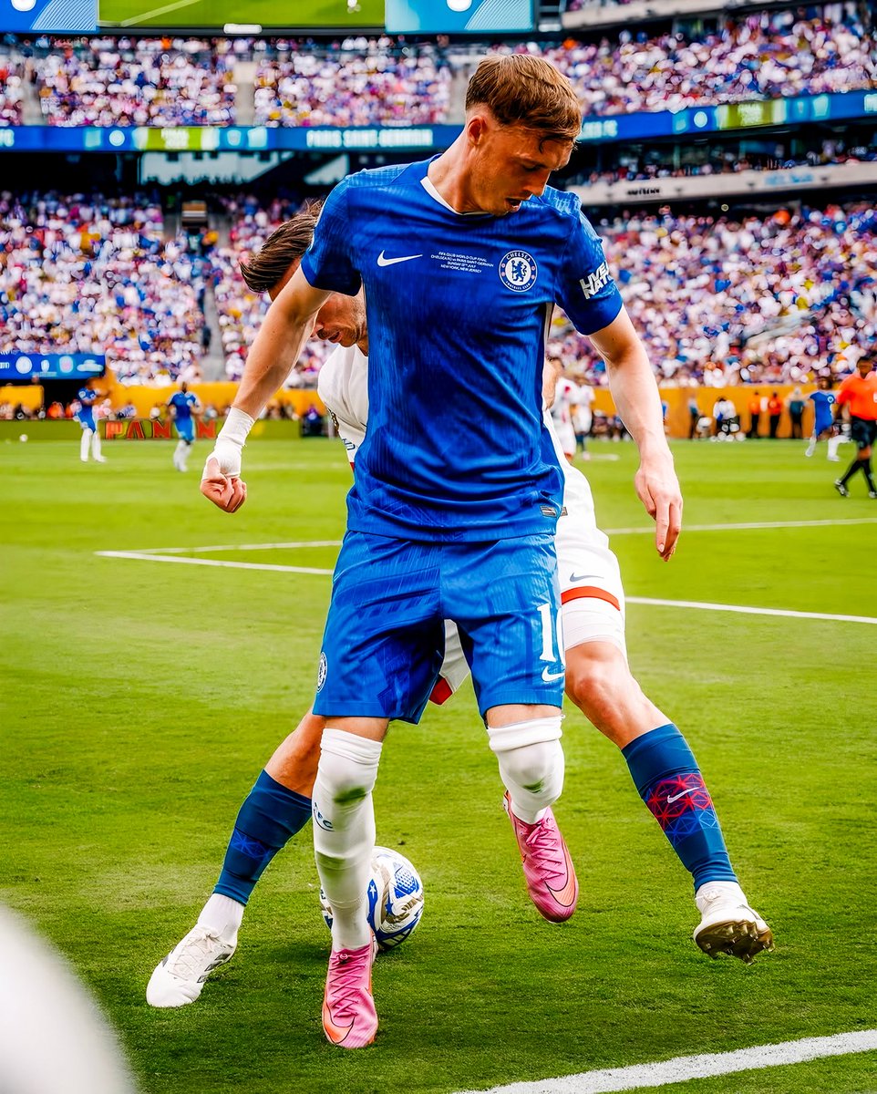 Always Cold Palmer tweet media