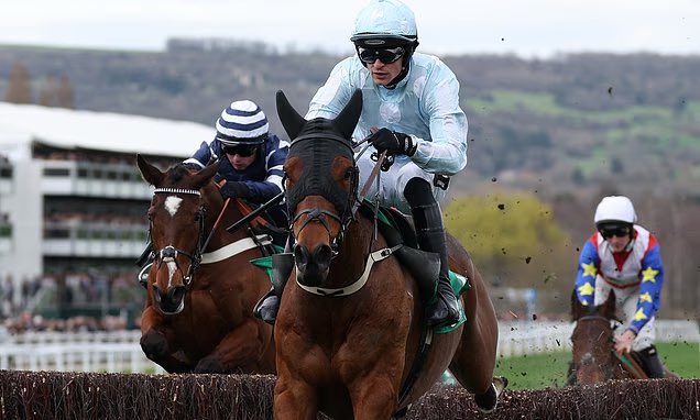 Stef Spode tweet media