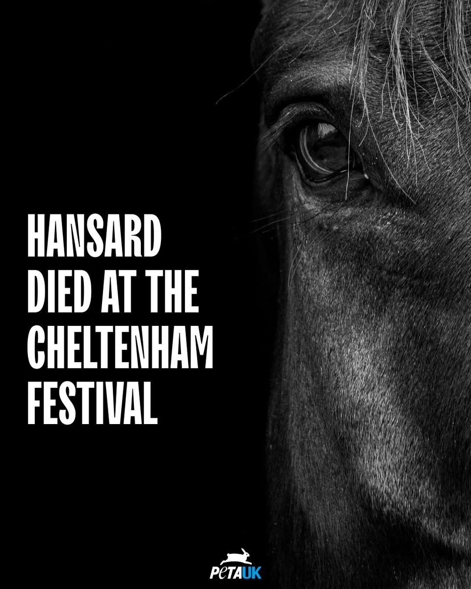 dominic dyer tweet media