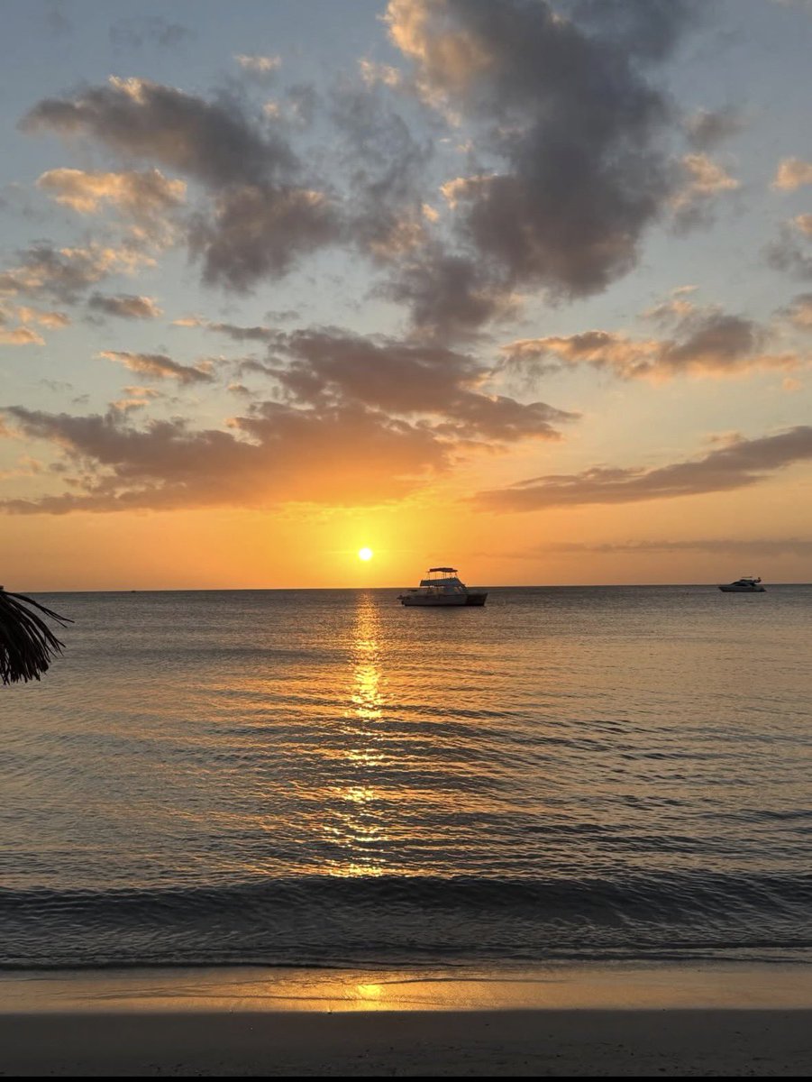 Luisa Elena 🌹Luisa🌷 tweet media