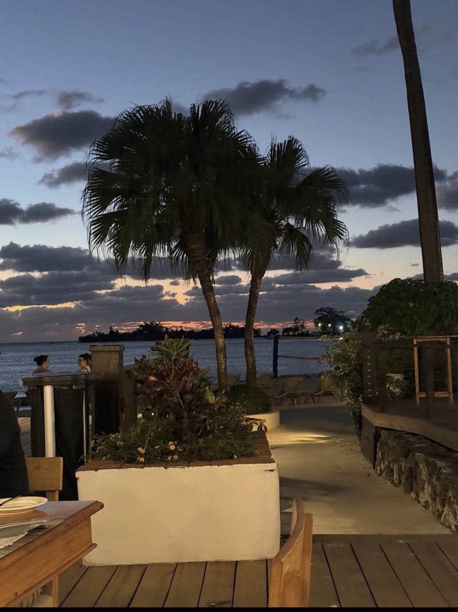 Luisa Elena 🌹Luisa🌷 tweet media