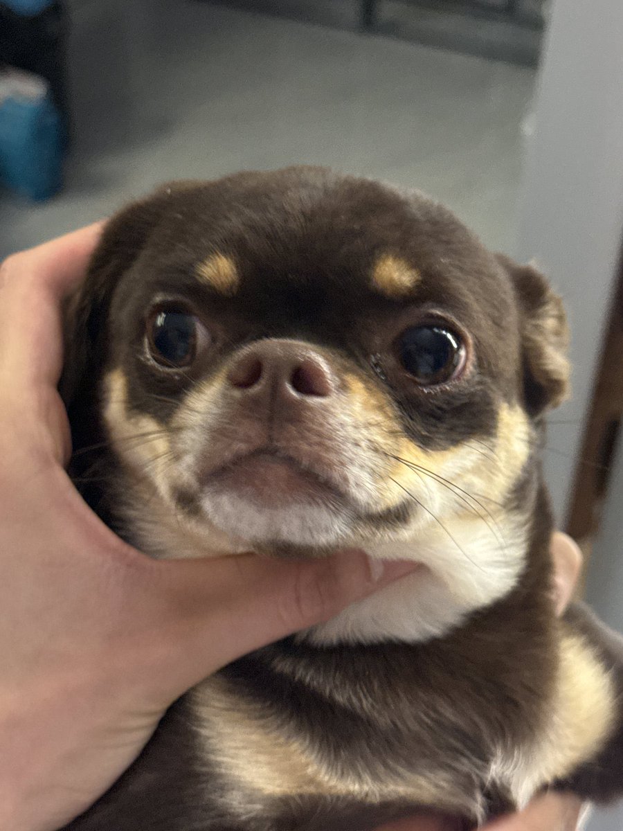 พี่ดังอย่าอมหนู หนูขอร้อง แค่ป๊ากับคนทั้งประเทศจ้องจะอมหนู หนูก็ไม่ไหวแย้ว พี่อย่าเป็นไปอีกคนนะ ไว้ชีวิตหัวหนูด้วย