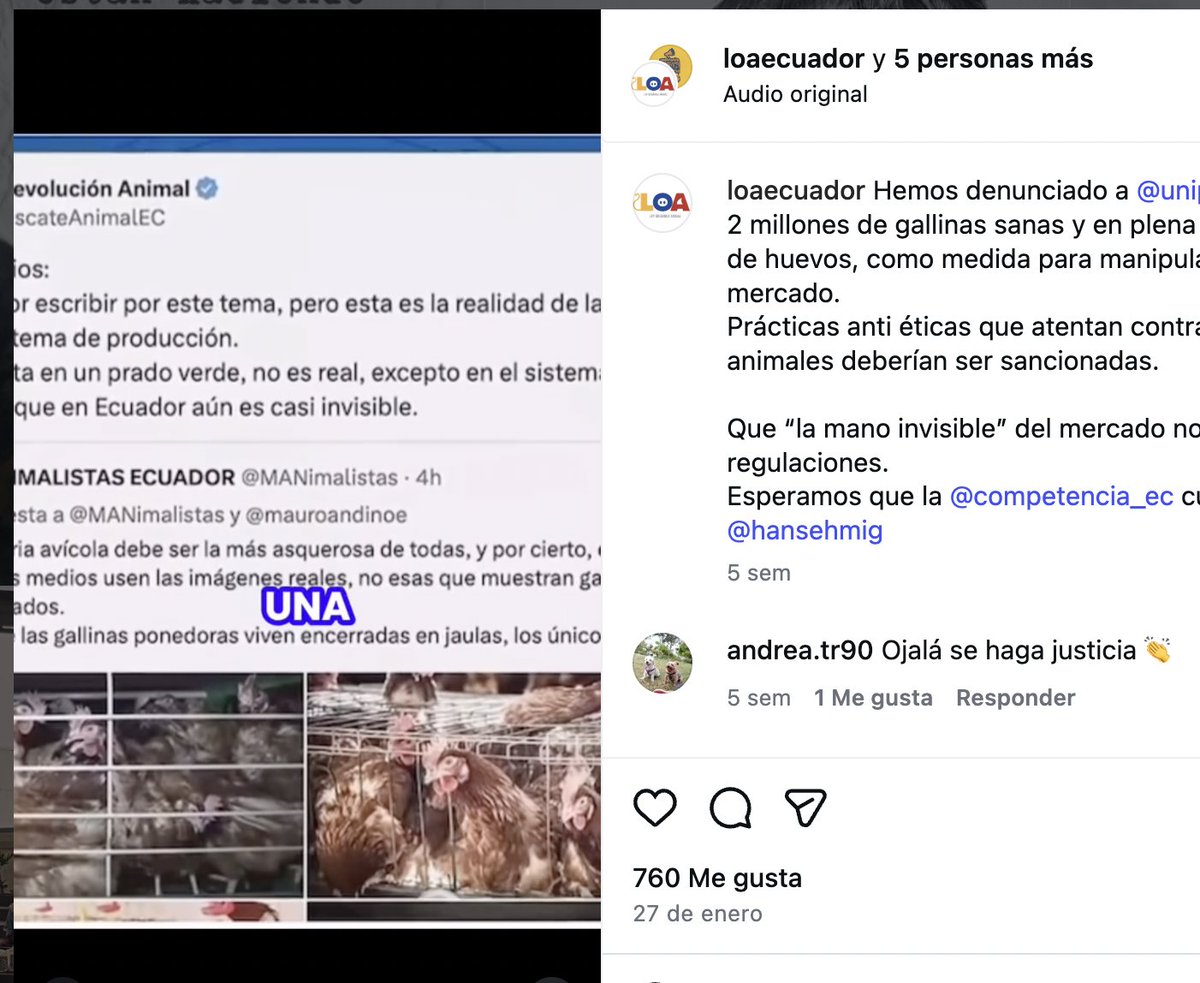La Revolución Animal tweet media