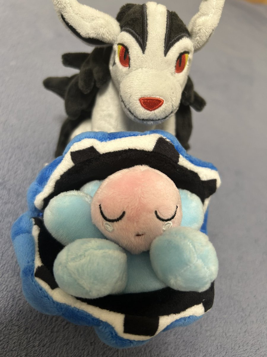 RaOpokesuna's tweet photo. 今日スカイツリーのポケセン行く機会があって、ポケスナの2推しが遂に揃いました😊
可愛らしいね…✨️ https://t.co/dzjKBvdzF7