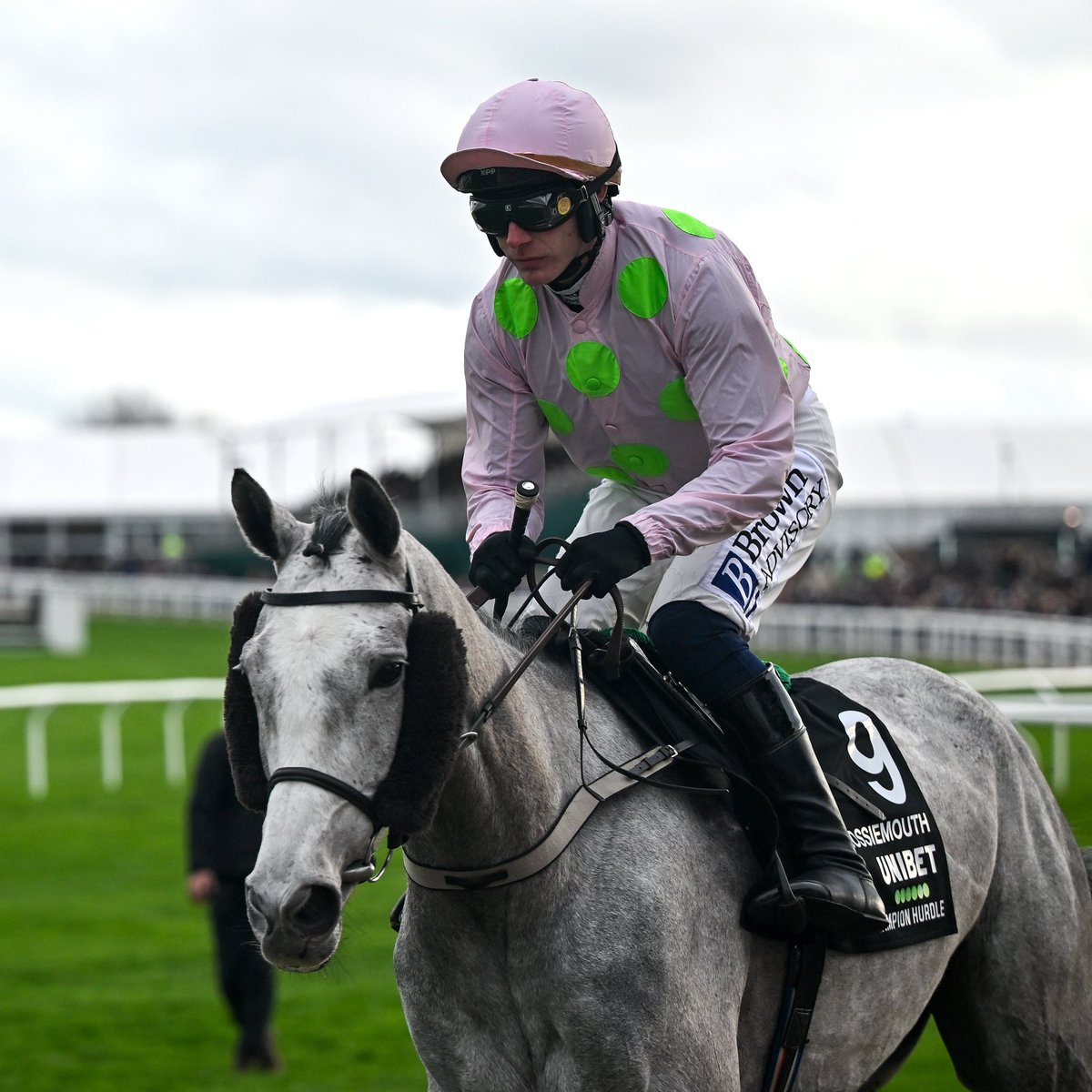 "Ole, ole ole ole!" 🎶

What a noise for the new Queen of Cheltenham!