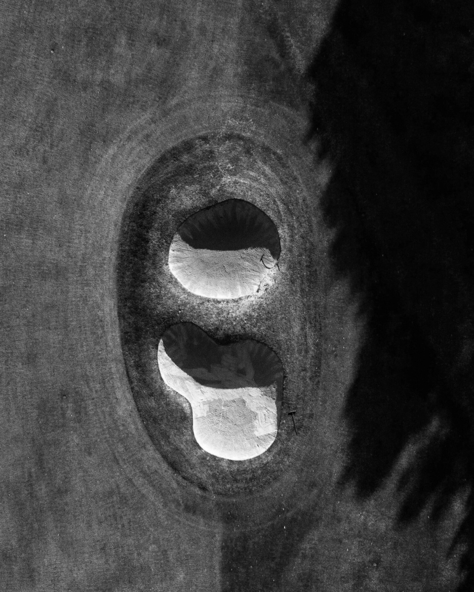 Woking Golf Club tweet media