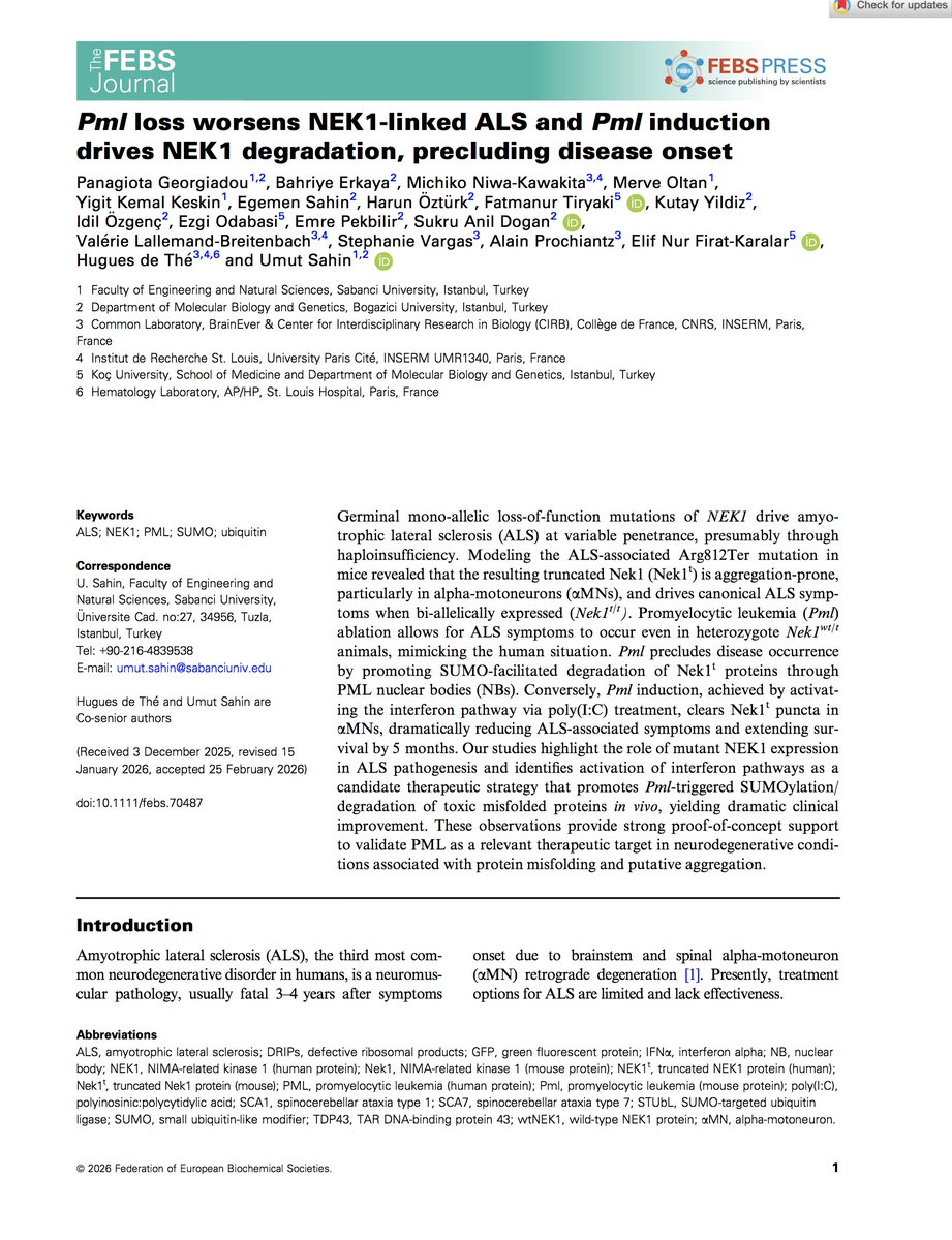 Umut Sahin tweet media