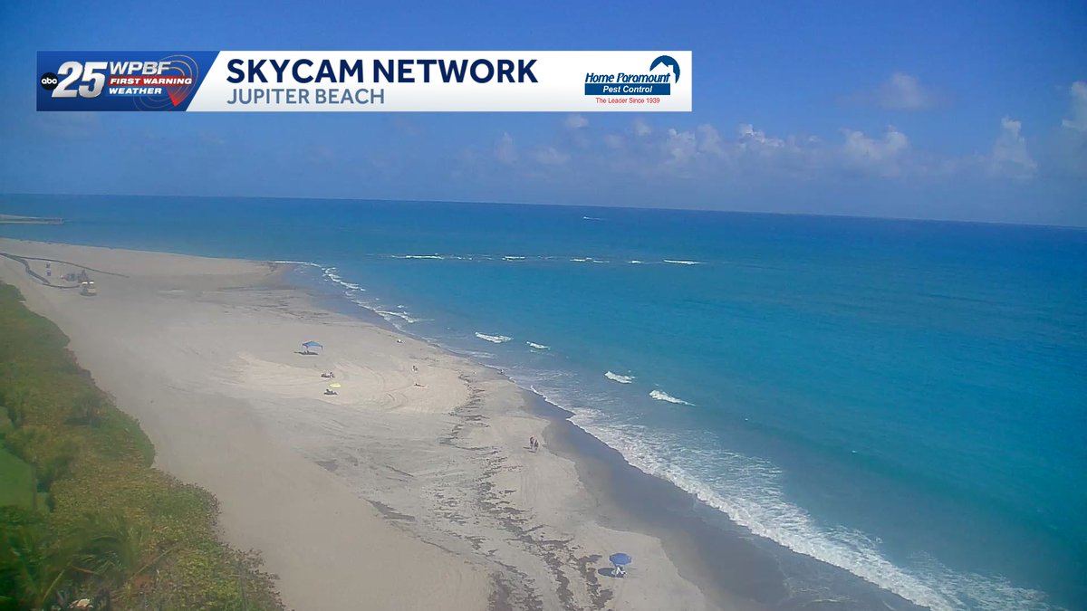 Sandra Shaw tweet media