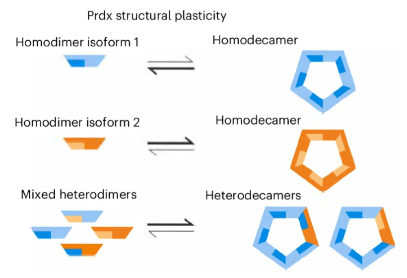 Nature Chemical Biology tweet media