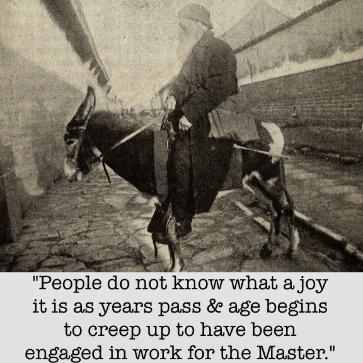 SBC History tweet media