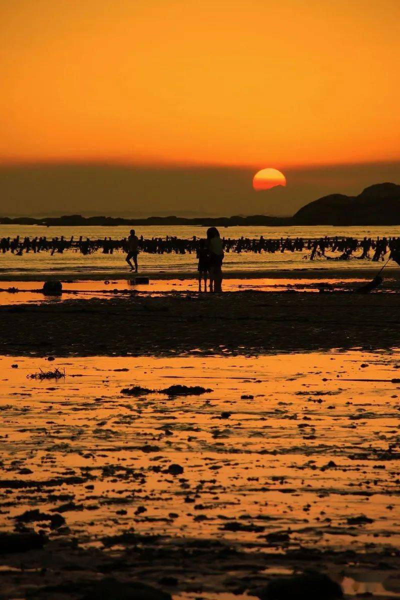 No Regrets Trading Advisor tweet media