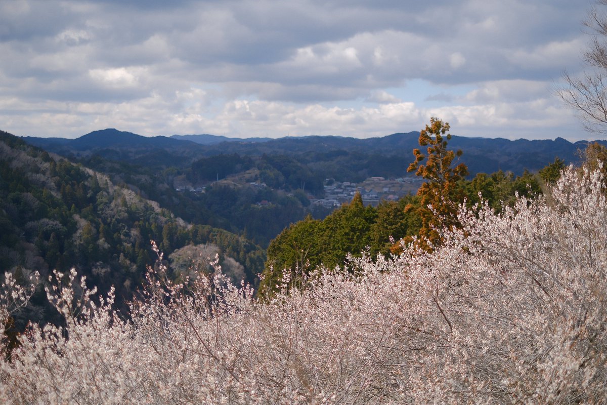 モルゲン@惹き合うG18 tweet media