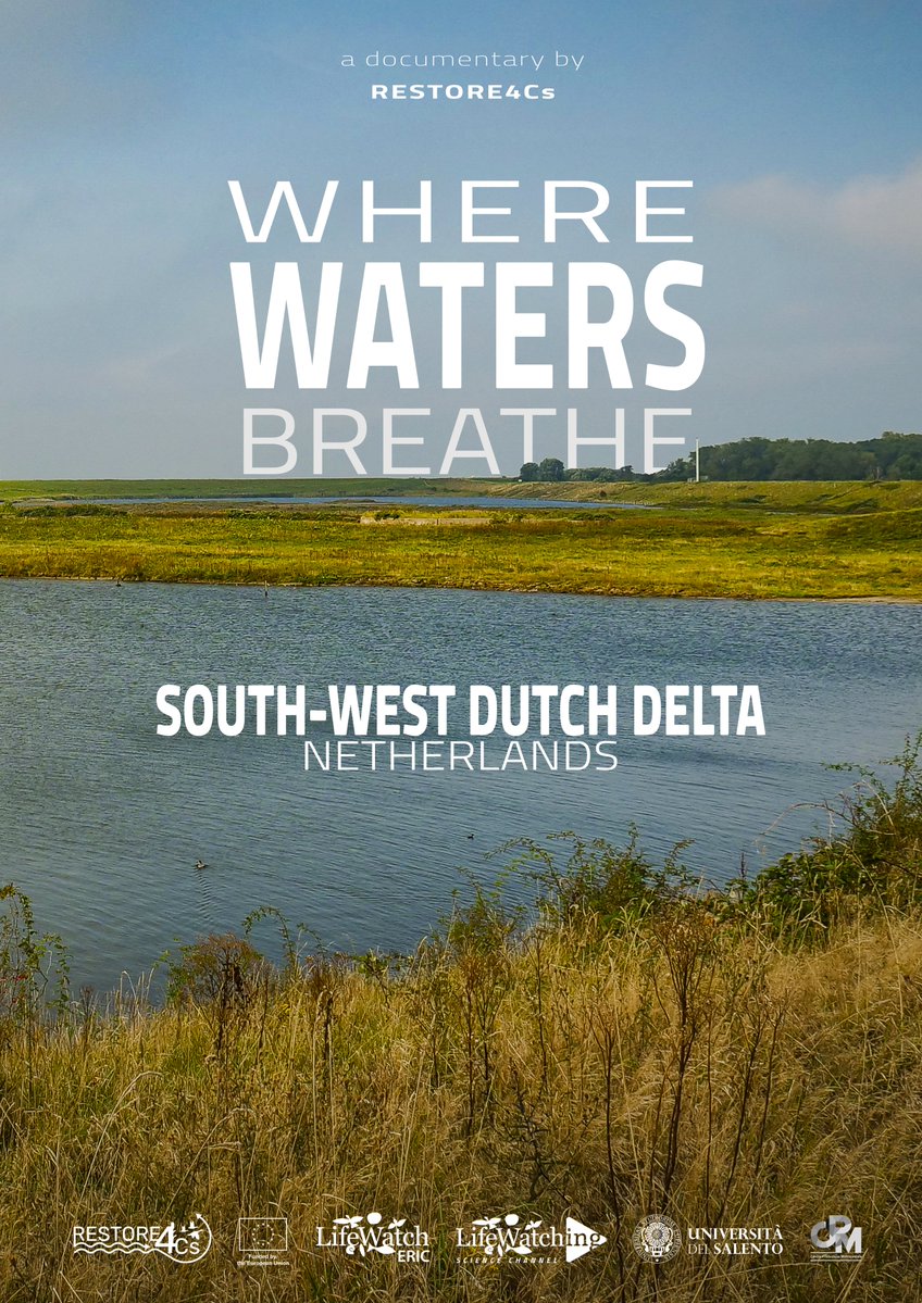 RESTORE4Cs tweet media