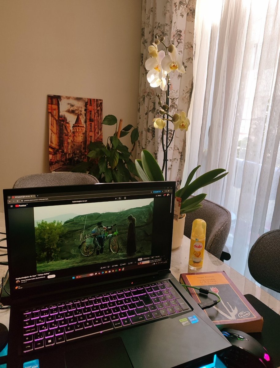 Beni ağlatmayın, gözyaşlarımı silecek ellerim bile yok!

Küçük bedenlerin kocaman yürekleriyle verdiği büyük mücadele...

🎥Bahman Ghobadi

#kaplumbagalardaucar