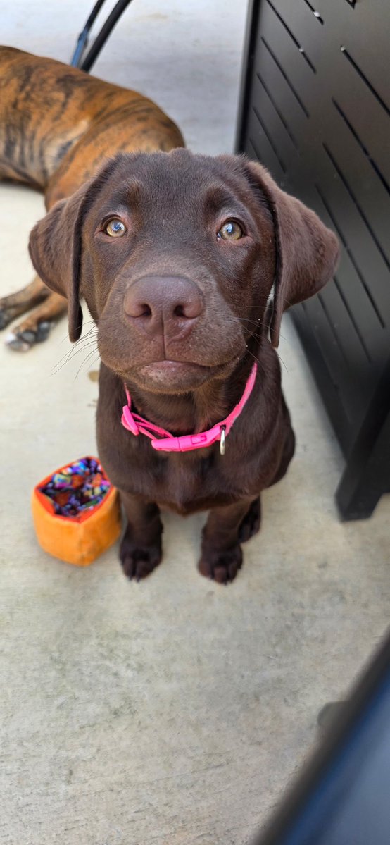 jason cates tweet media