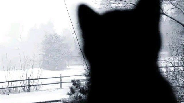 daryl 𖹭 shed tweet media