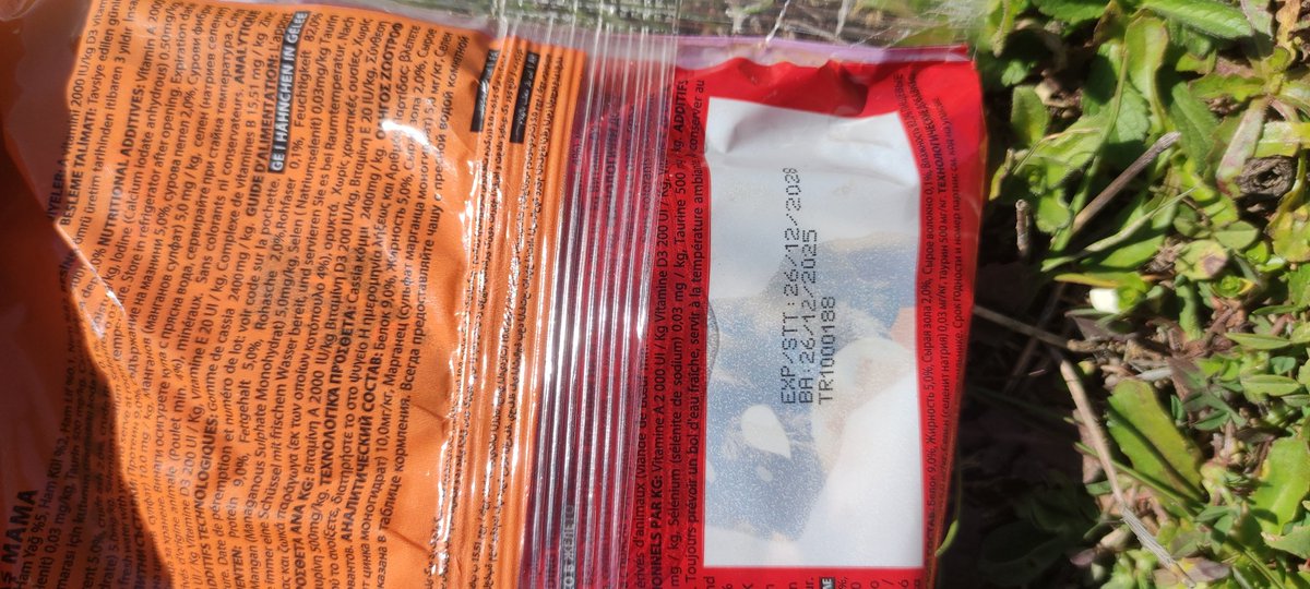 100% Natürlich🌻 tweet media