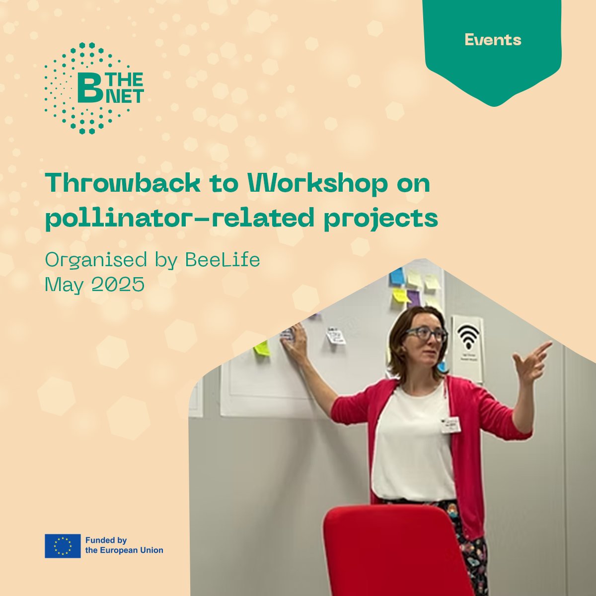 B-THENET tweet media