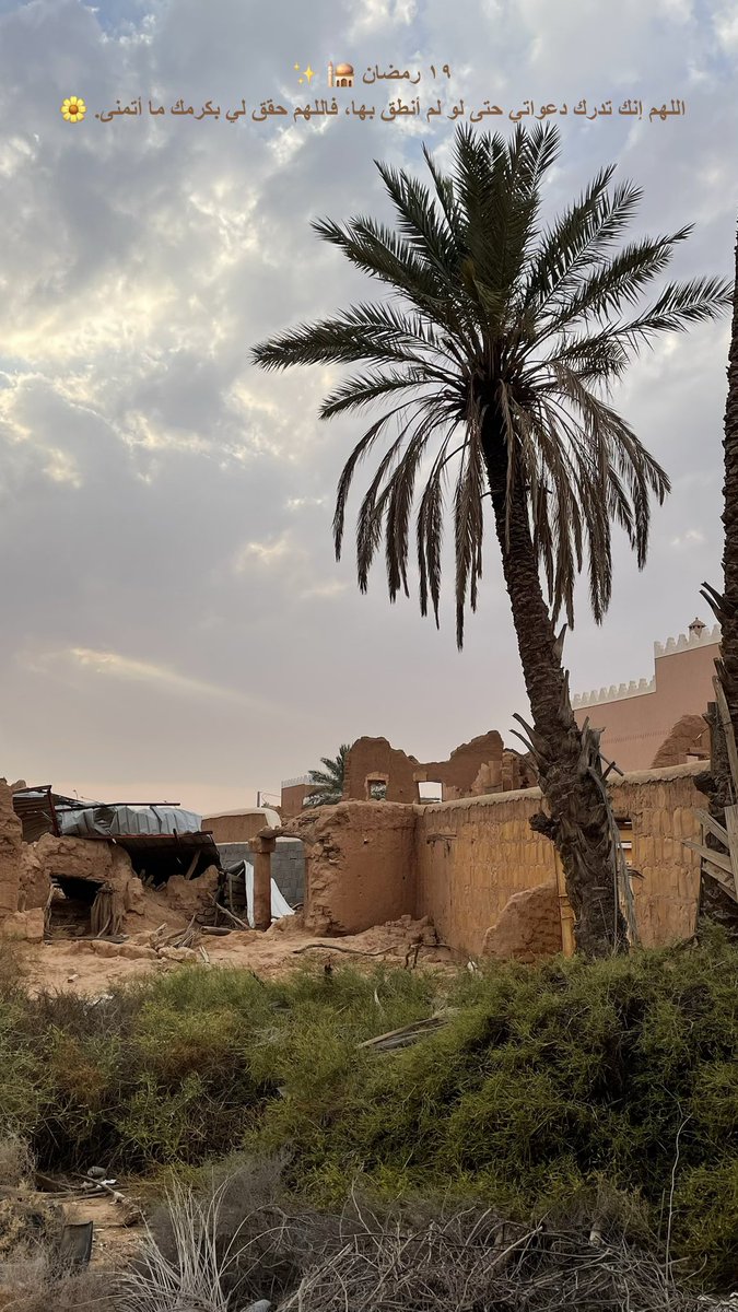 فهده ابوعباة✨ tweet media