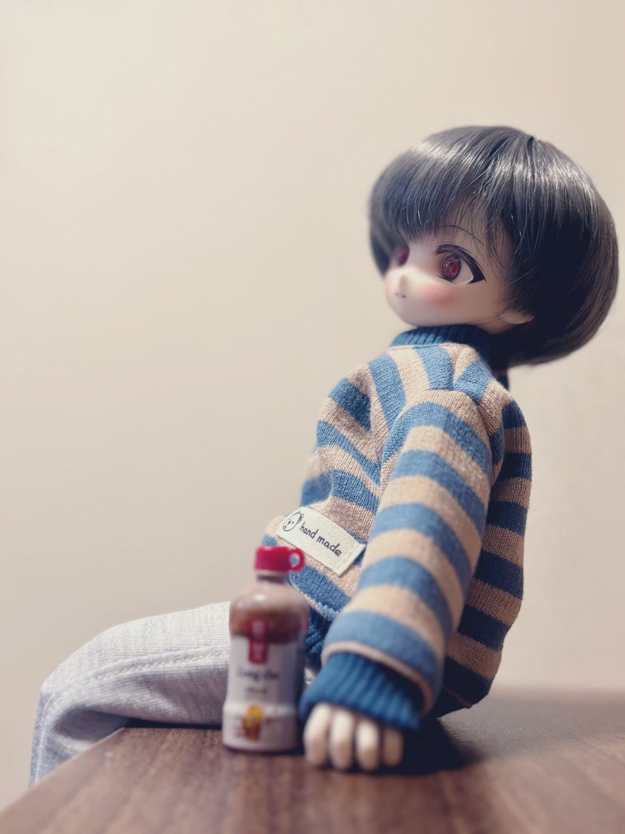 ノワくんの新しいお洋服届いた！
めっちゃ可愛い😭🫶

#うちのこかわいい
#TinyFox