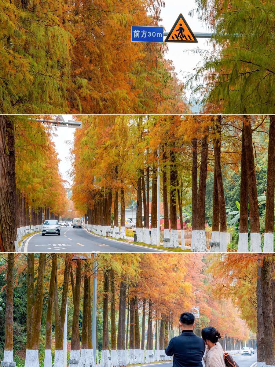 anne day tweet media