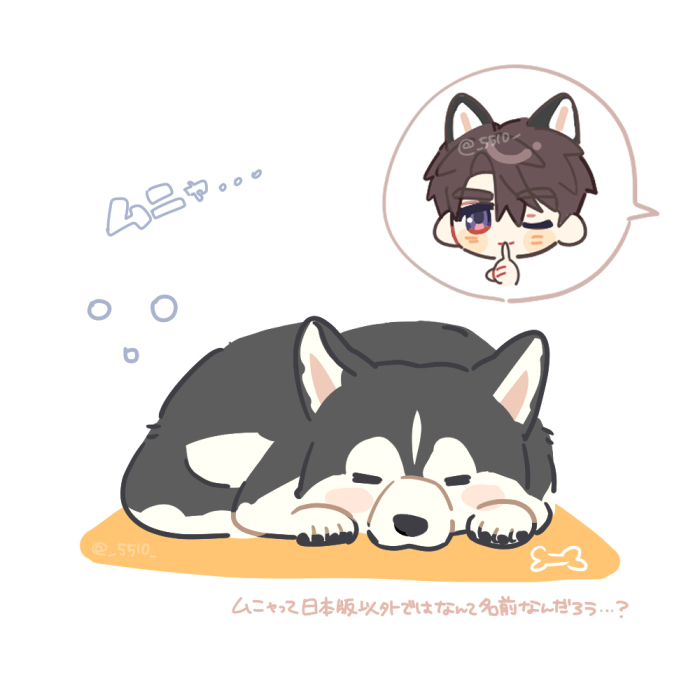 こことよう tweet media