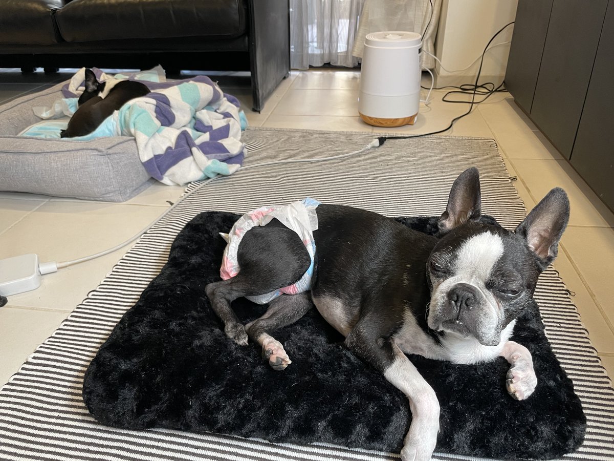 Shigetsu Takayama tweet media