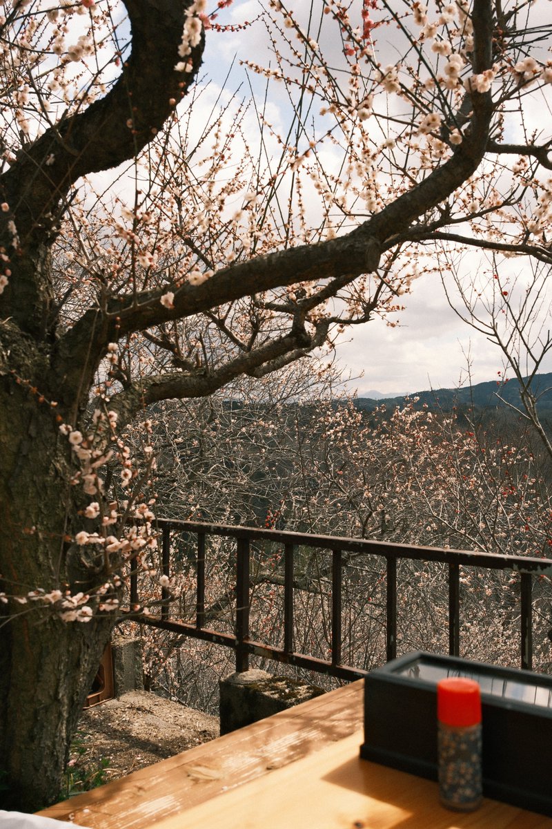 モルゲン@惹き合うG18 tweet media