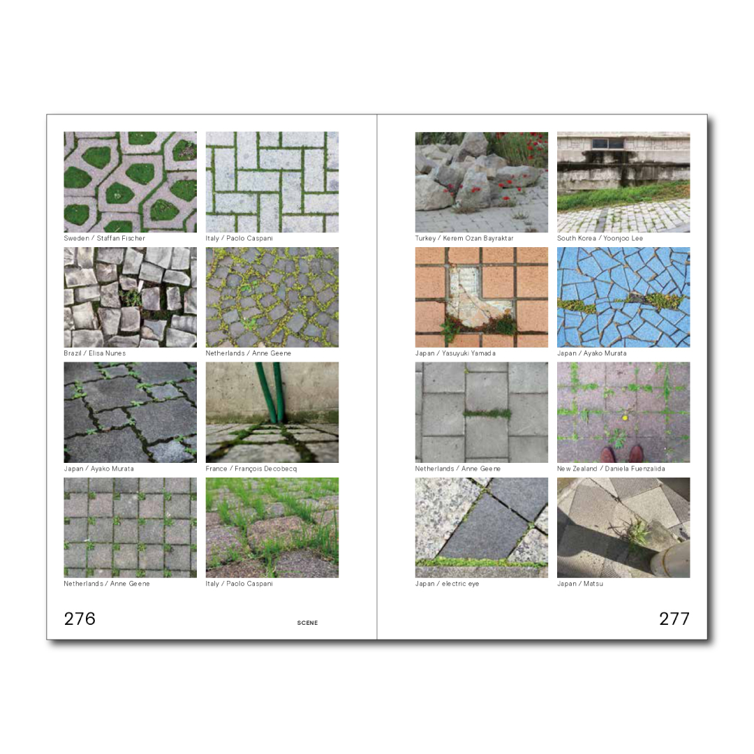 村田あやこ | 路上園芸学会 tweet media