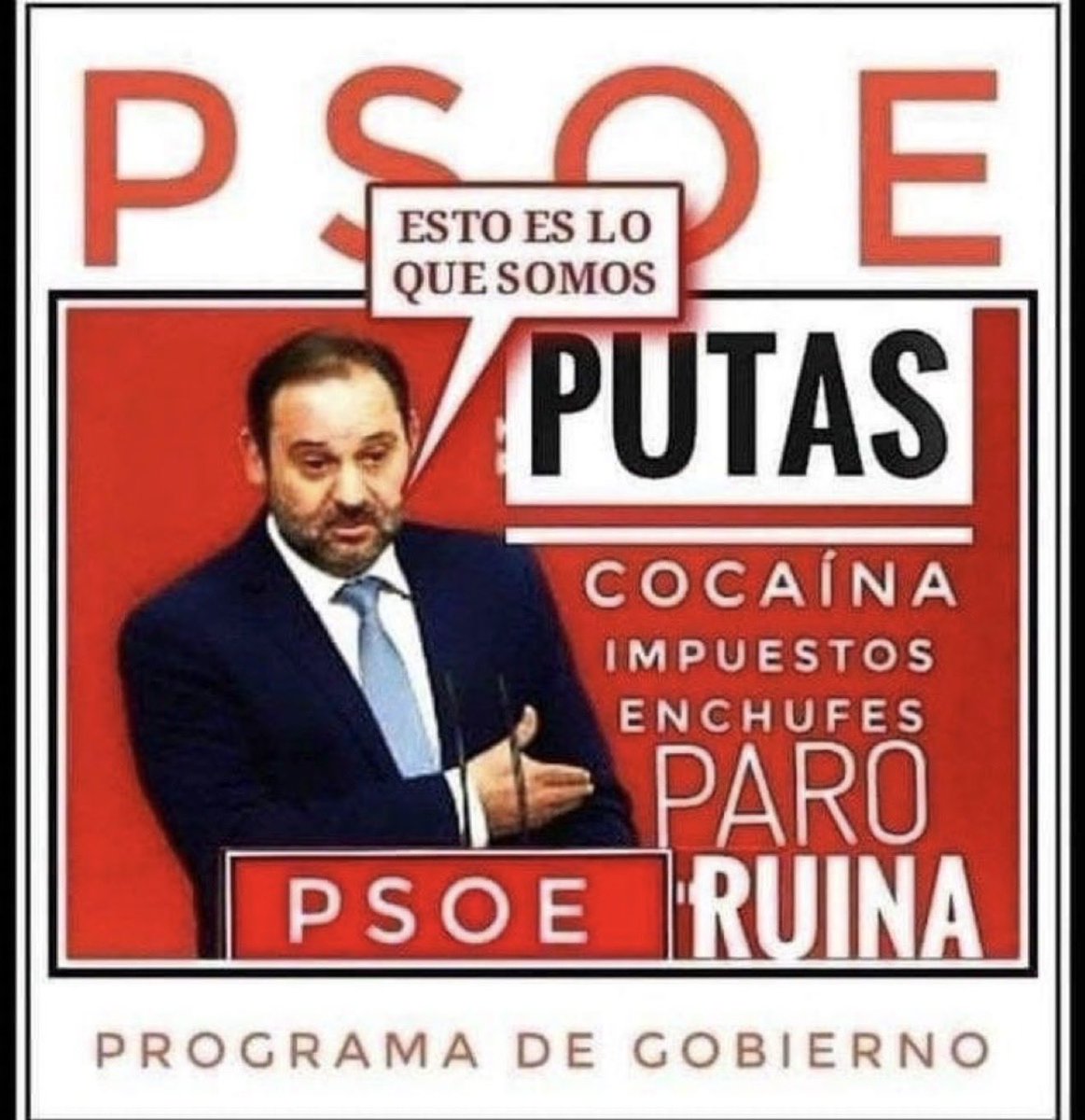 📣📣📣Suscribo! 🥊🐾