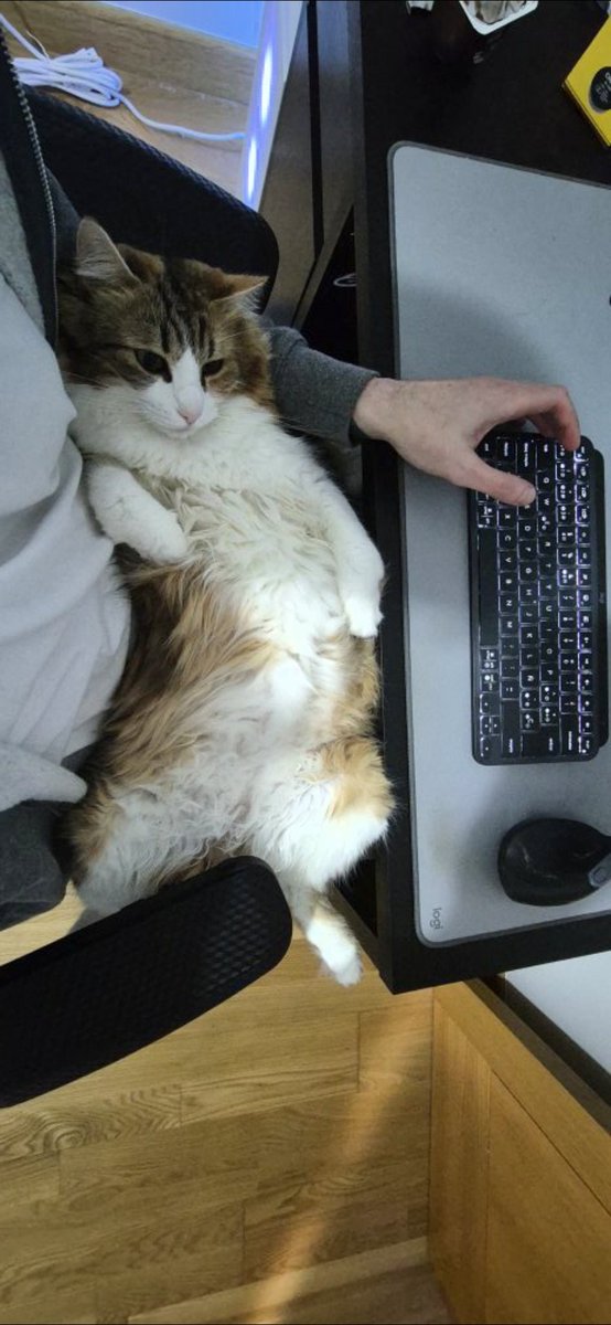 Javier D tweet media