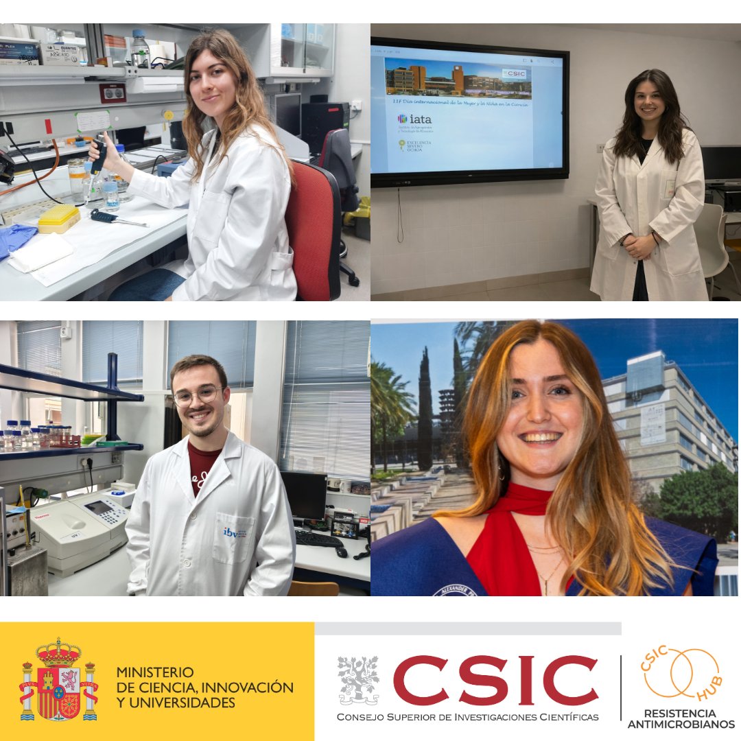 Antimicrobianos Hub CSIC tweet media