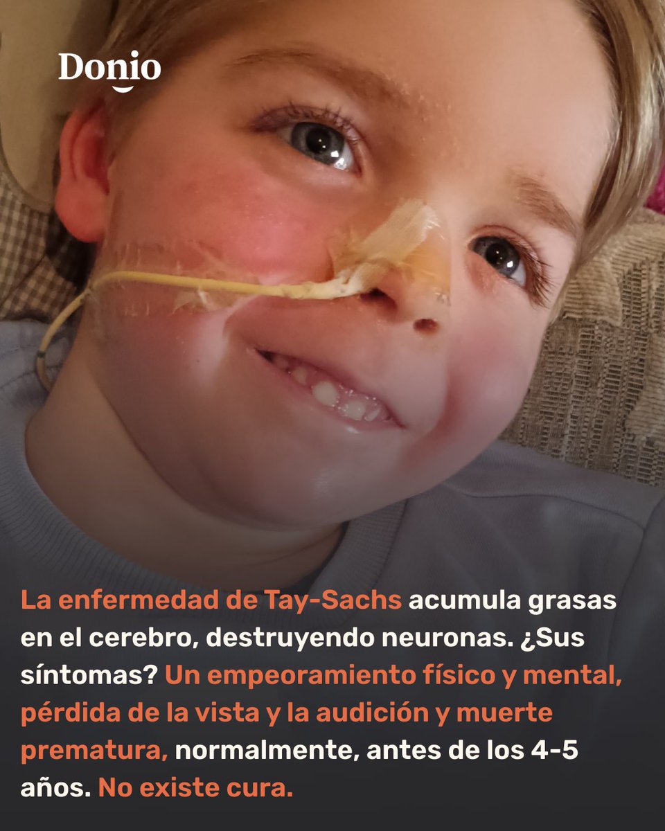 Fundación Donio España tweet media