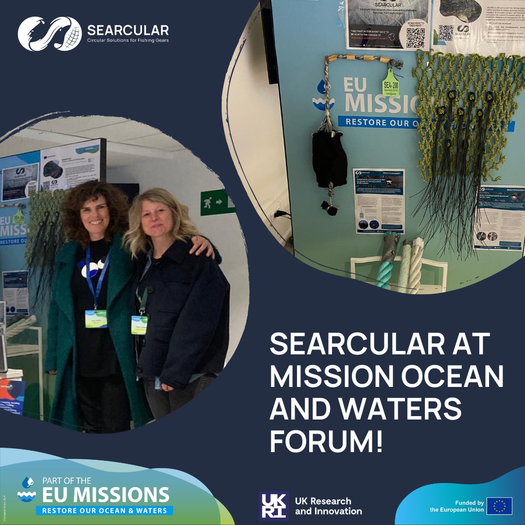 SEARCULAR tweet media