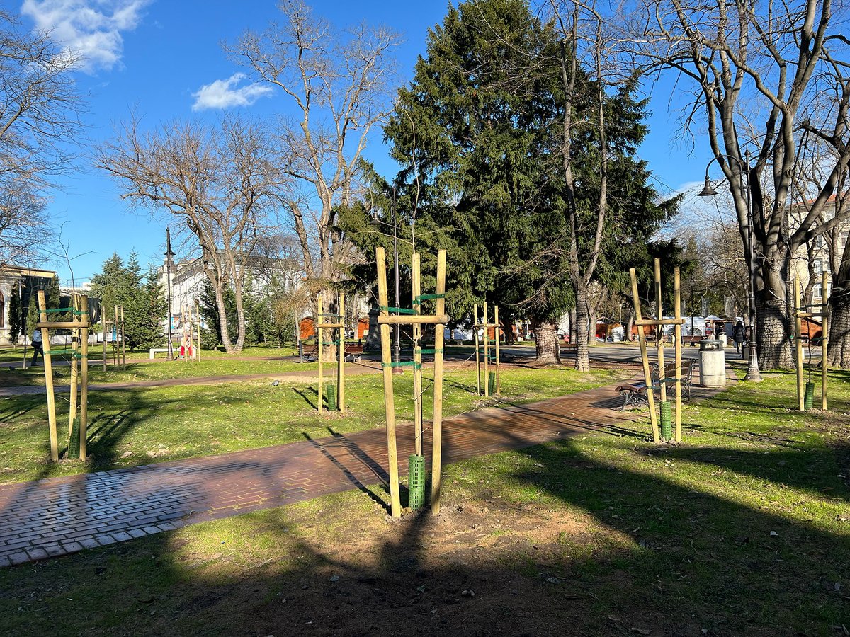 1/6) 🌳 We are evolving the Vasil's Forest project. We will be creating Ginkgo Groves all over the world (instead of just in Portugal). We already created the first one in Varna, Bulgaria!

🧵